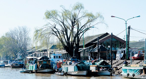 PUERTO DE FRUTOS